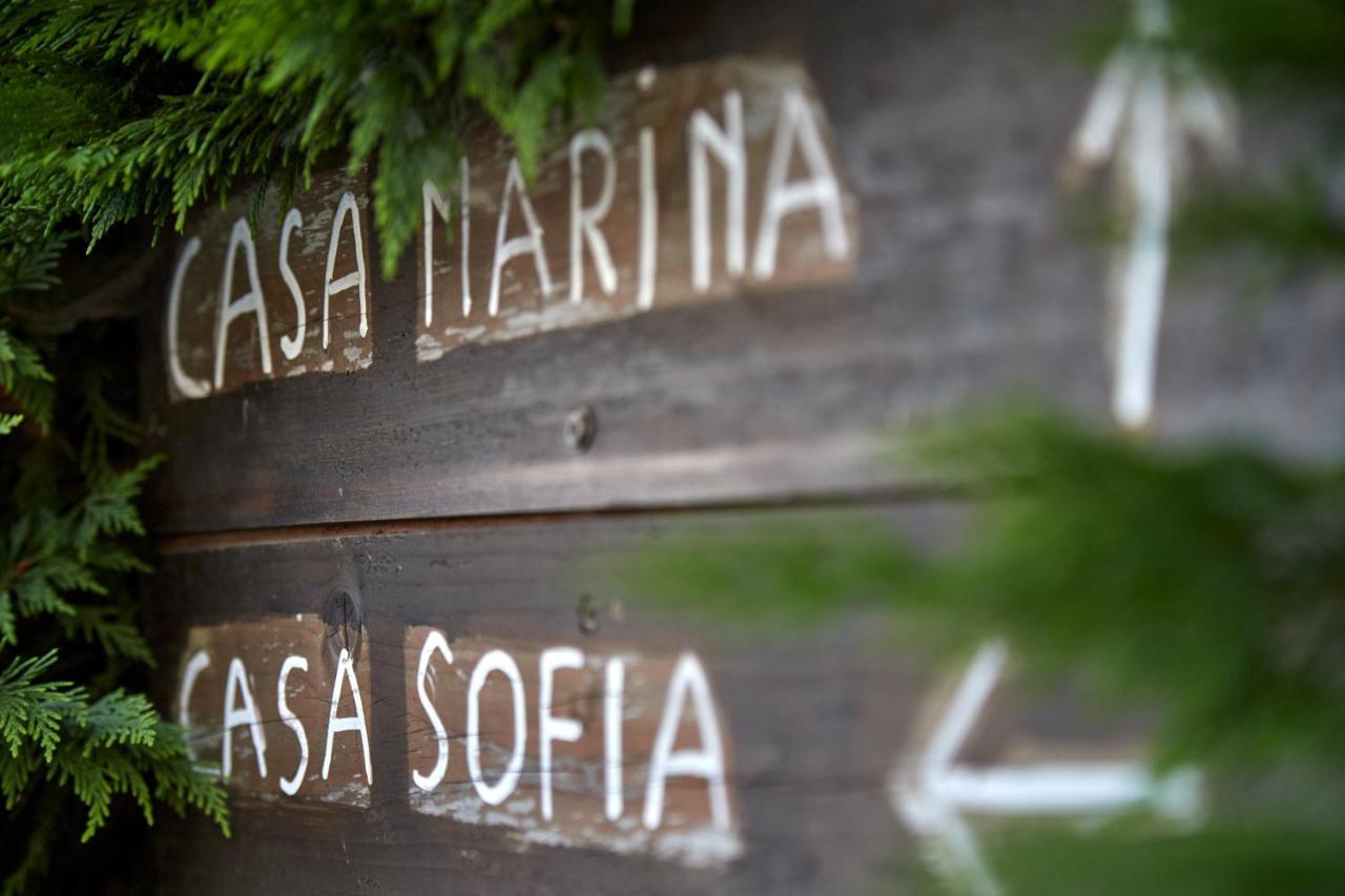 Agriturismo Da Rosy Codevigo エクステリア 写真
