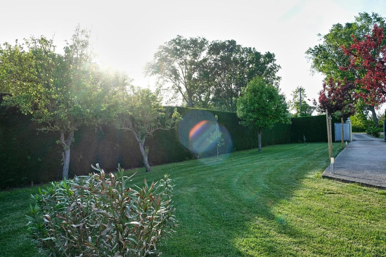 Agriturismo Da Rosy Codevigo エクステリア 写真